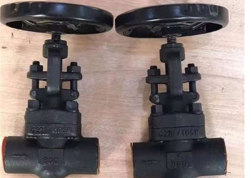 �����˽�ʲô���l�y